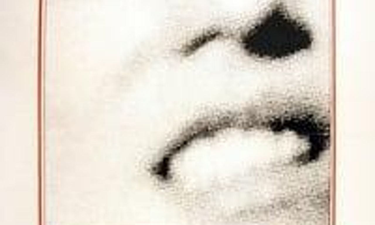 header image for Hide And Go Shriek