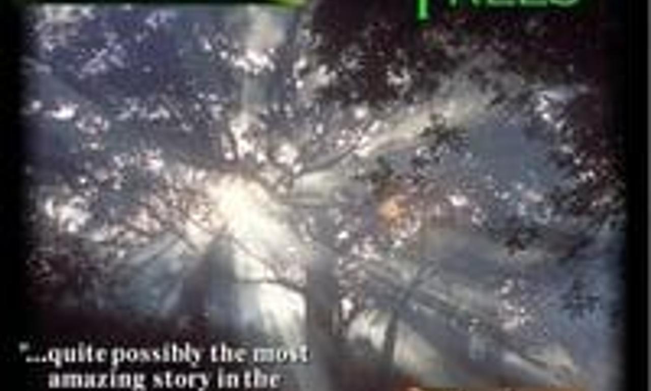 header image for The Queen of Trees