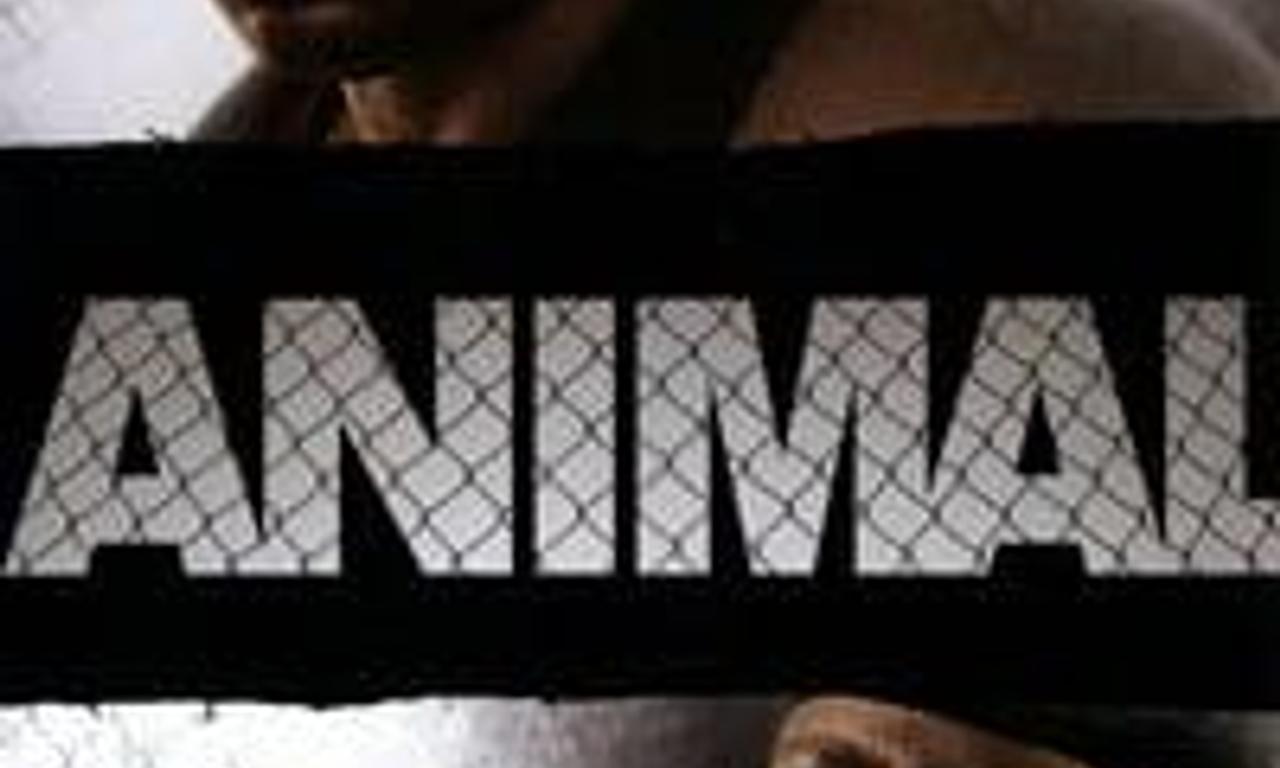 header image for Animal