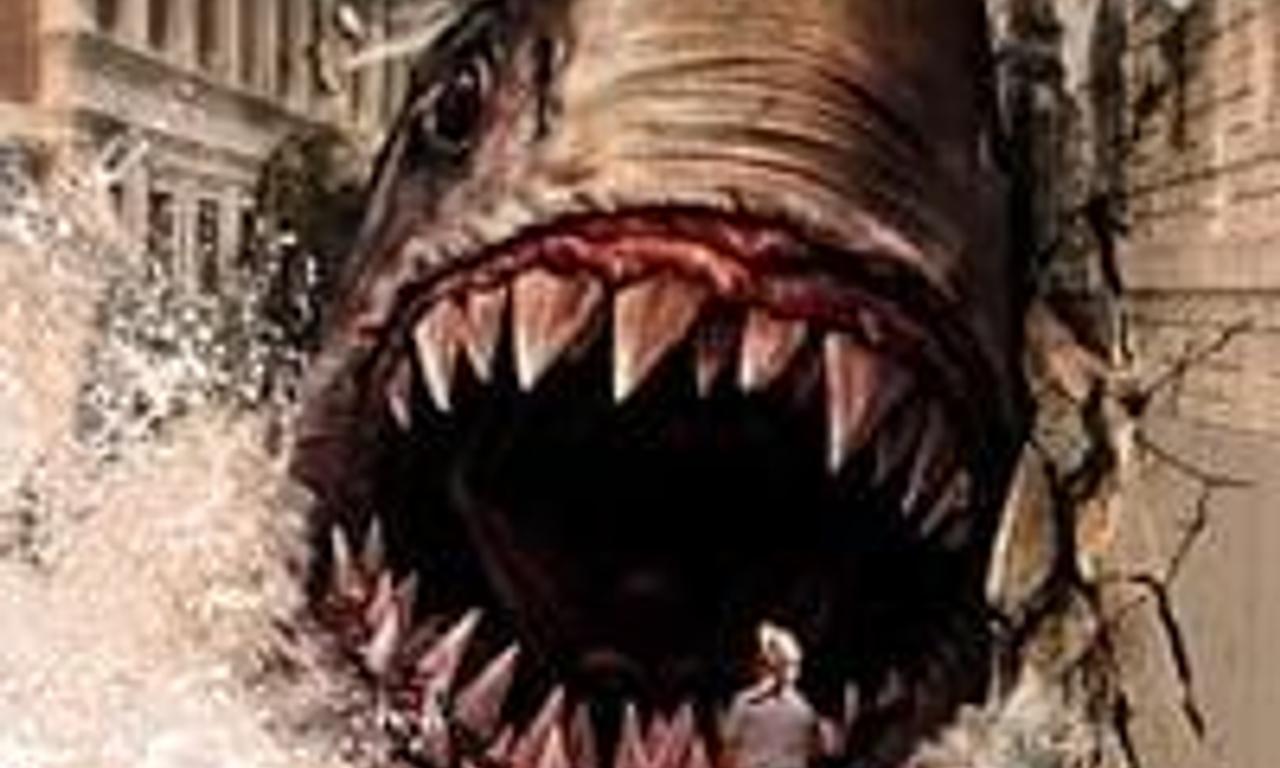 header image for Shark in Venice