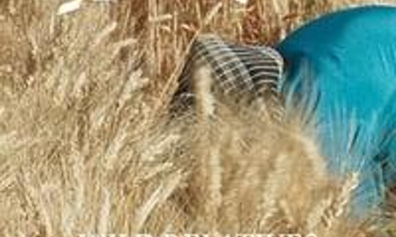 header image for Wild Relatives