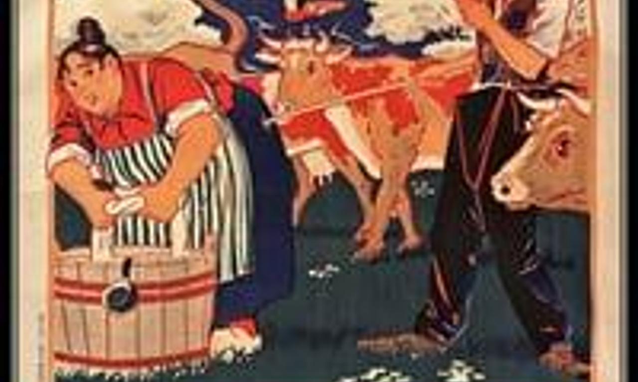 header image for Sunnyside