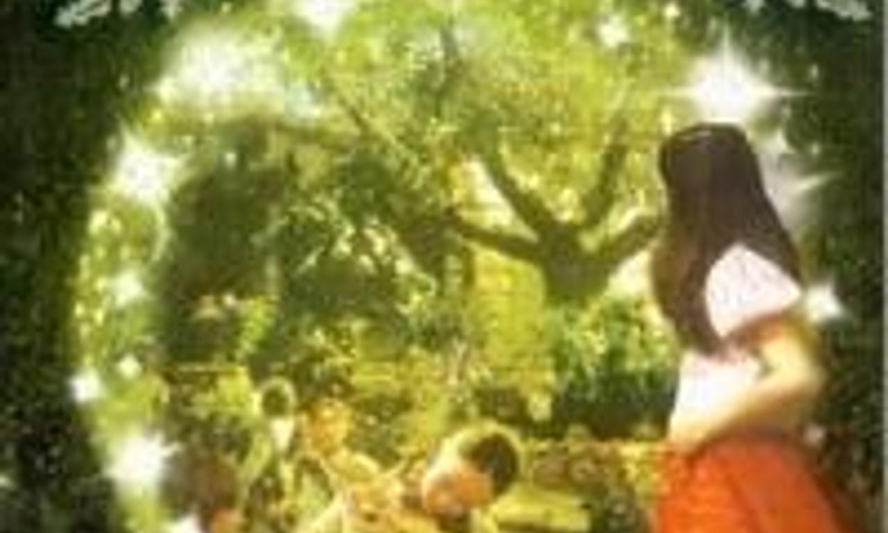 header image for Back to the Secret Garden