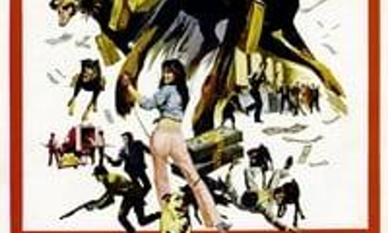 header image for The Doberman Gang