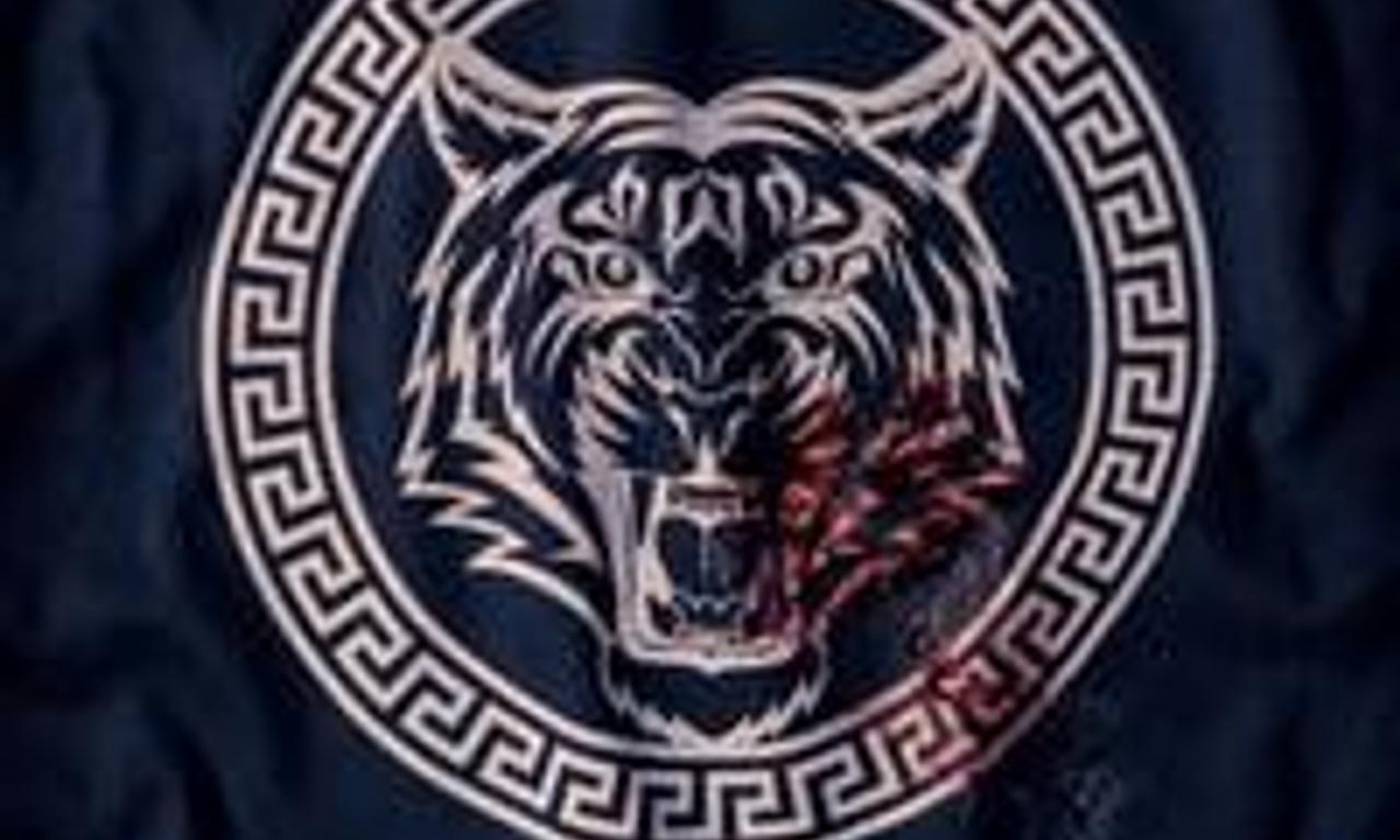 Heads and Tails Where to Watch and Stream Online Entertainment.ie