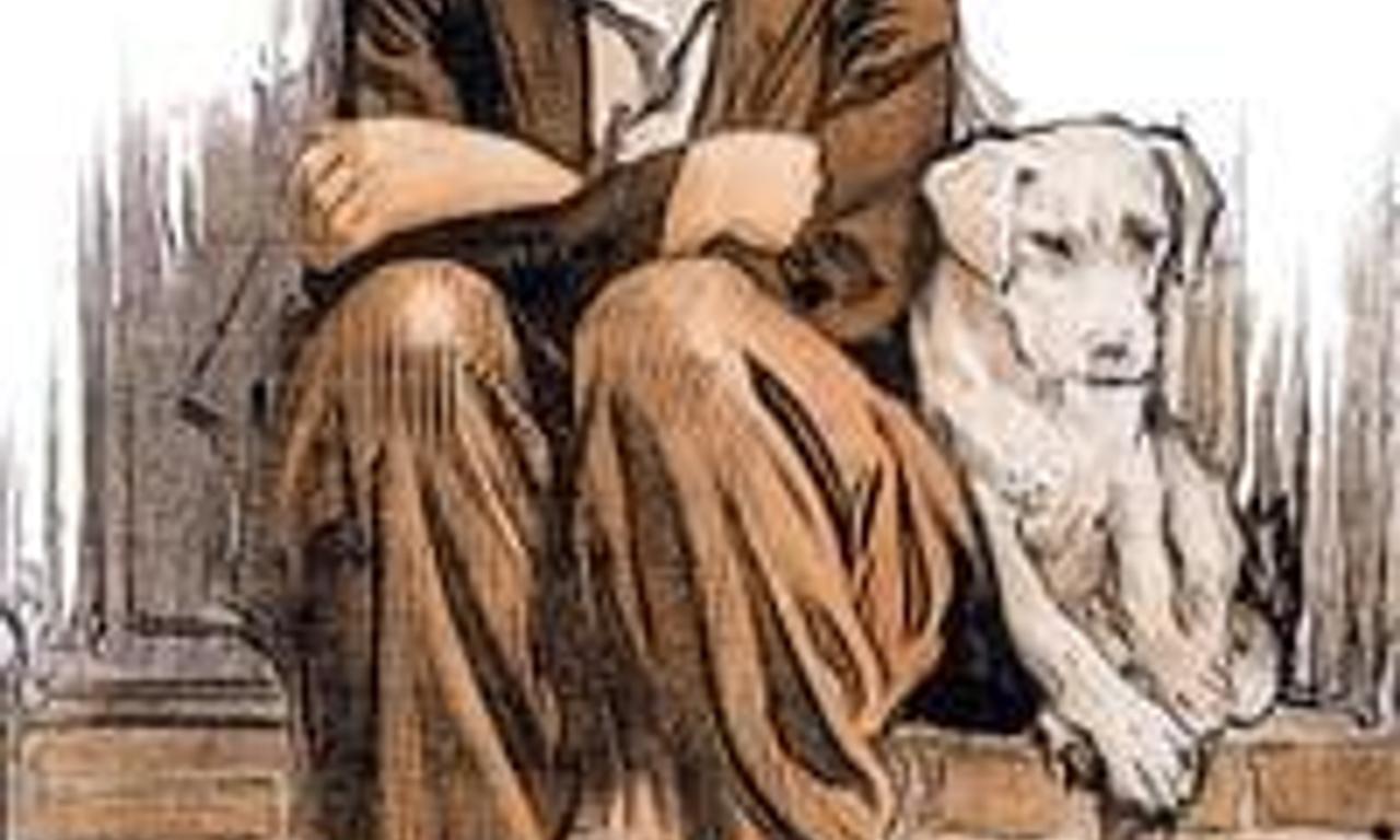 header image for A Dog's Life