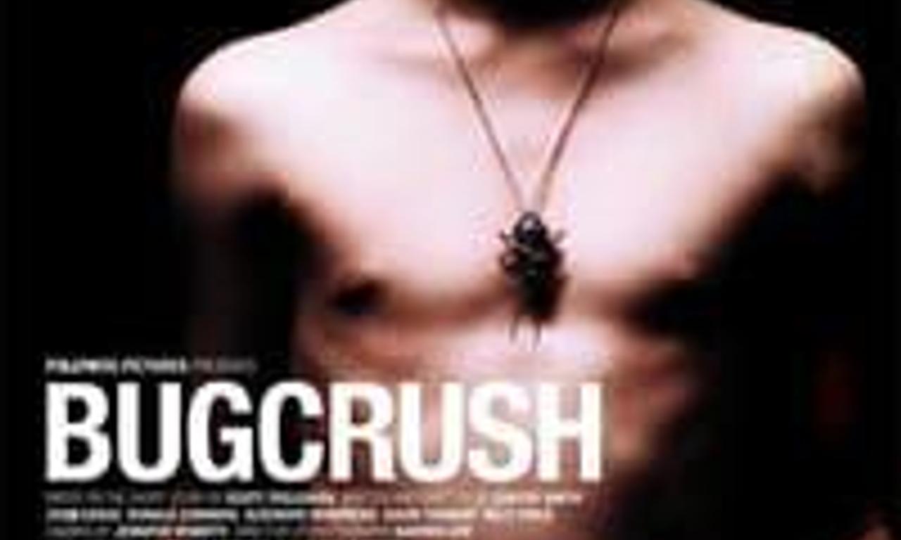 header image for Bugcrush