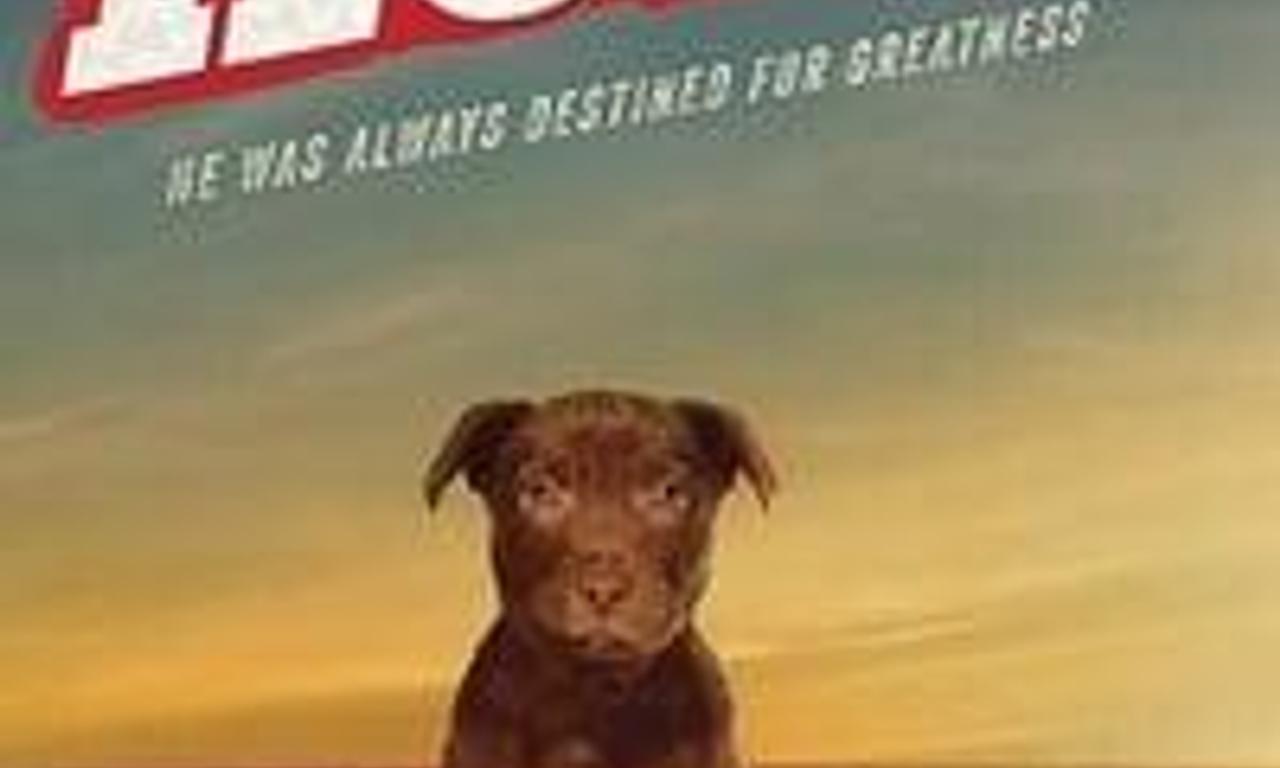 header image for Koko: A Red Dog Story