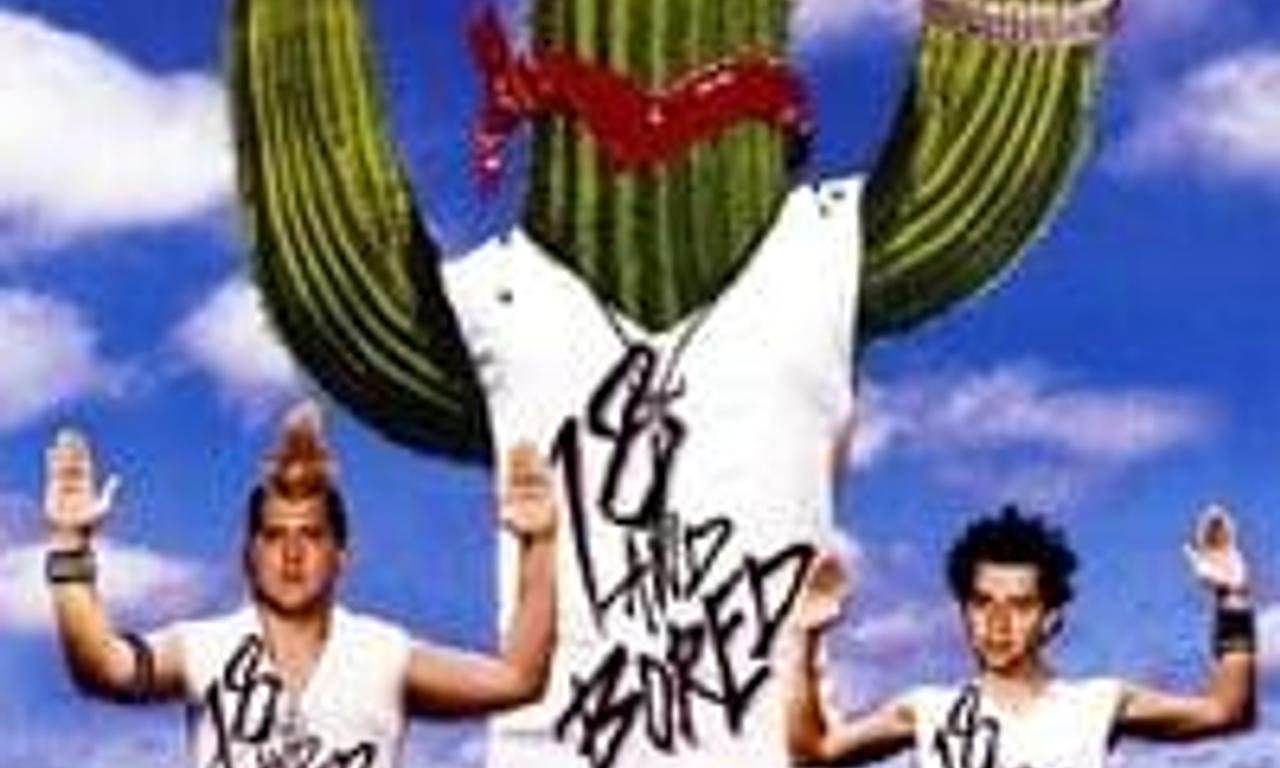 header image for Dudes