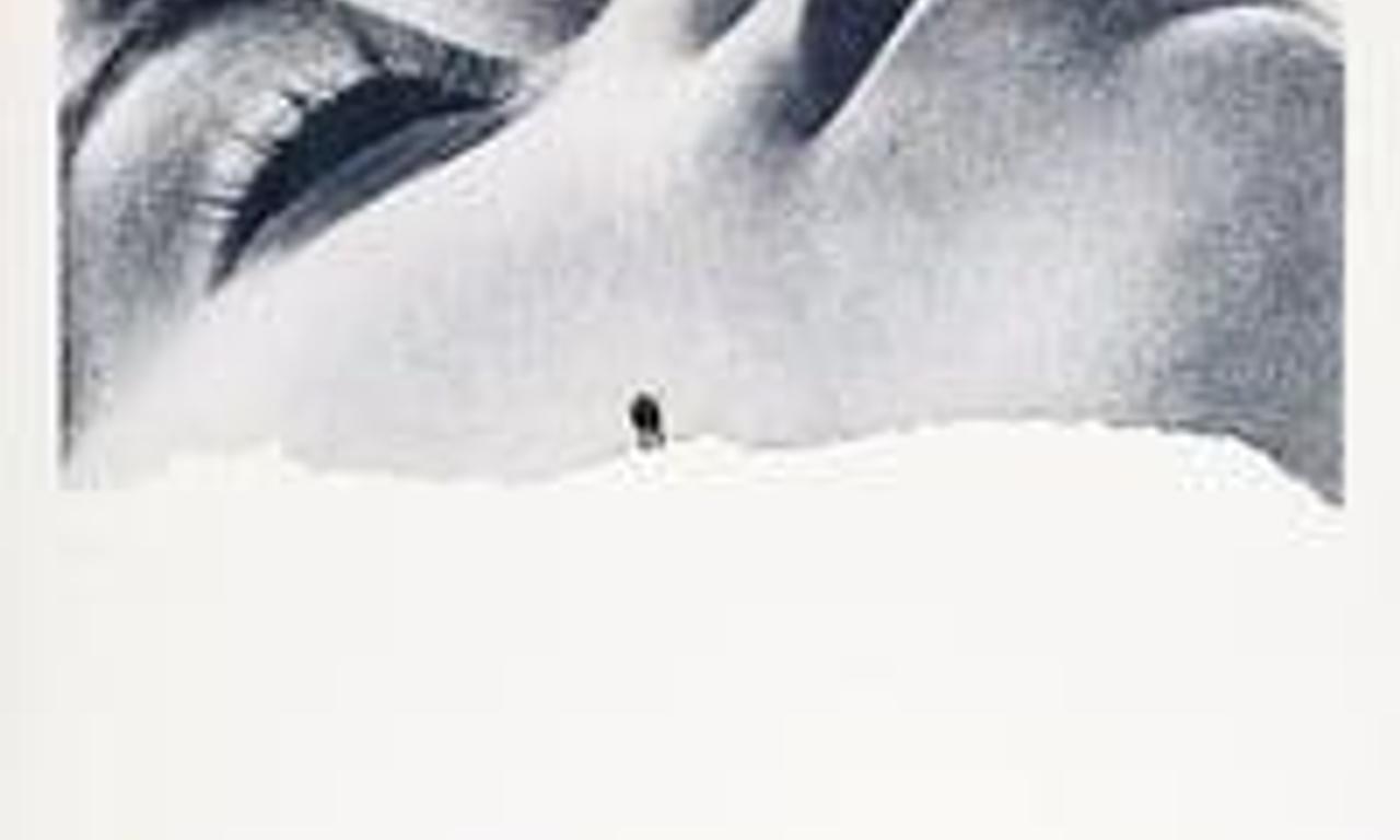 header image for Downhill Racer