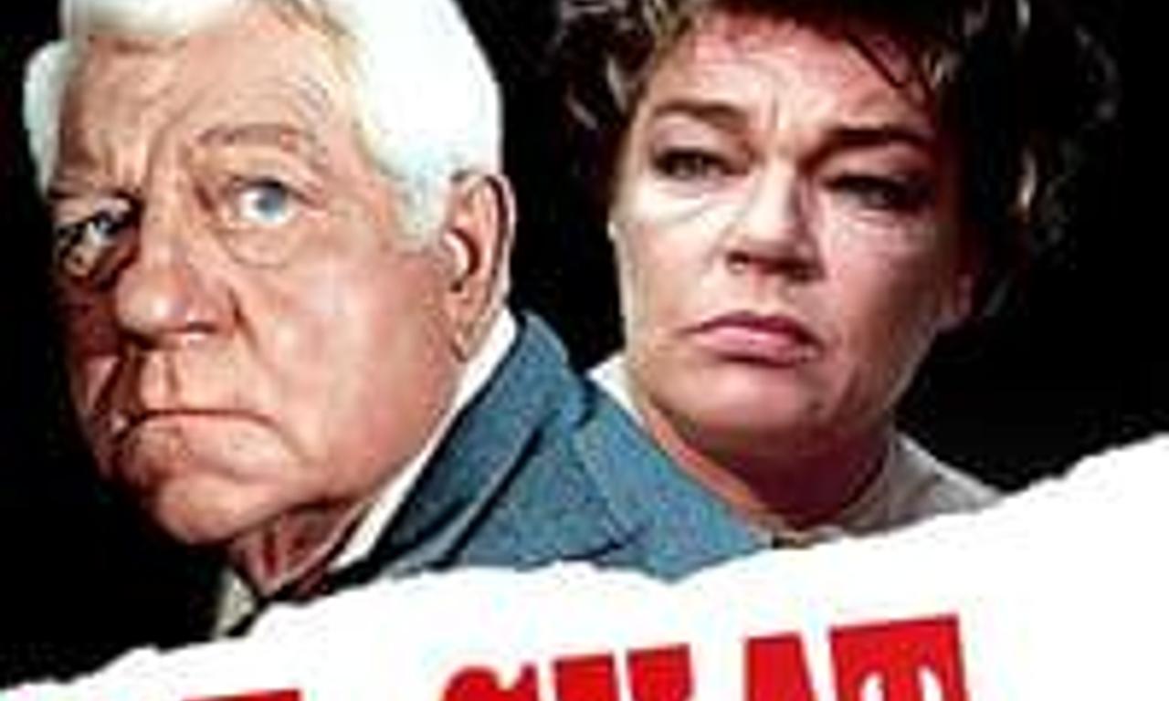 header image for The Cat