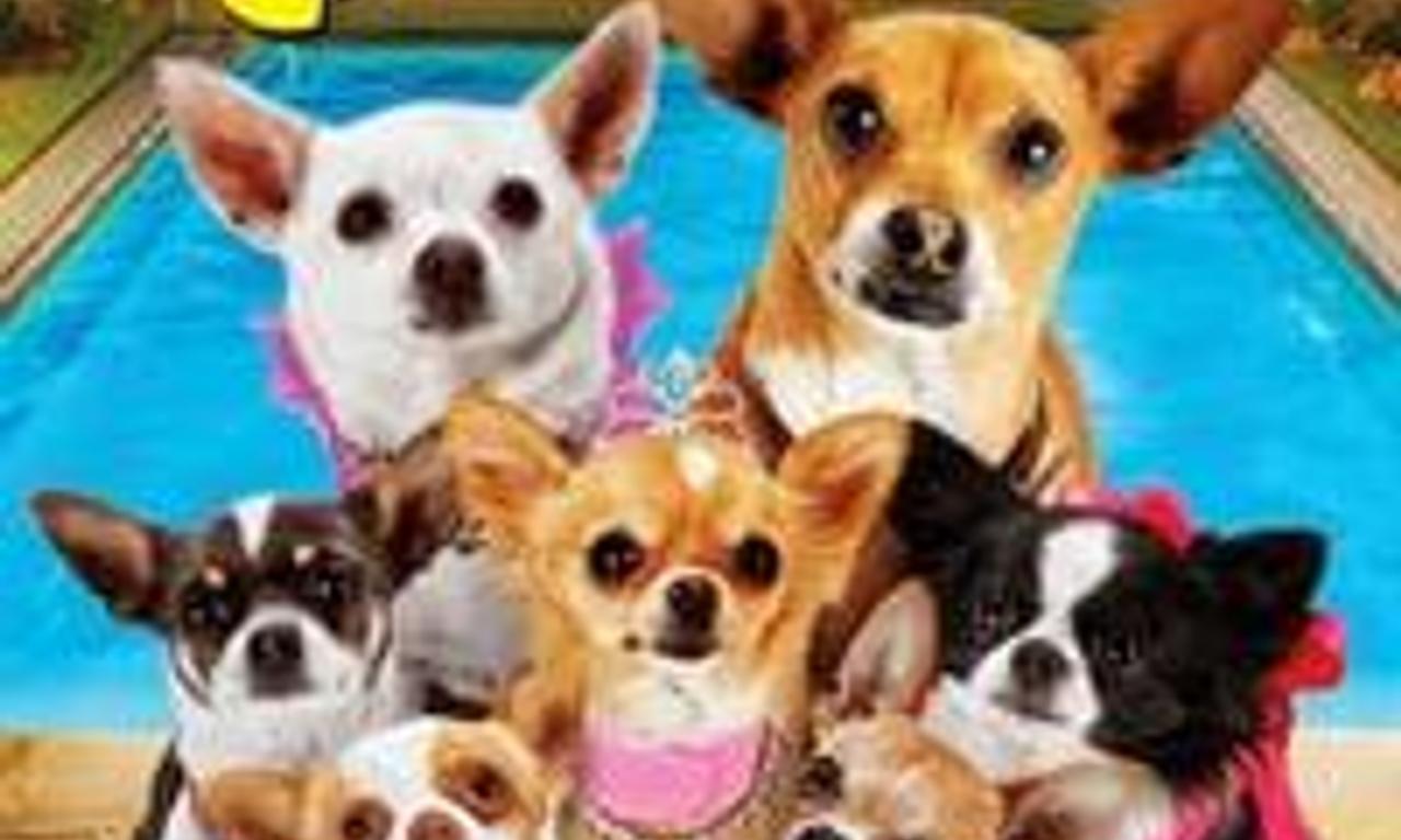 header image for Beverly Hills Chihuahua 3: Viva La Fiesta!