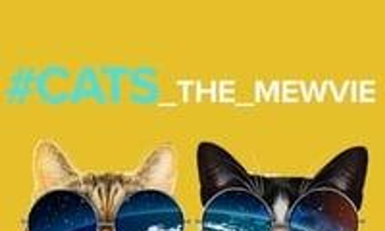 header image for #cats_the_mewvie