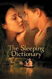 The Sleeping Dictionary