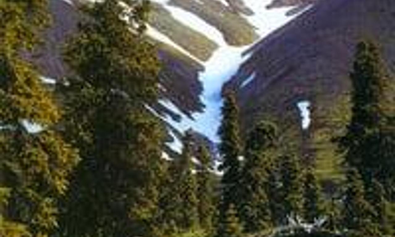 header image for Alone in the Wilderness