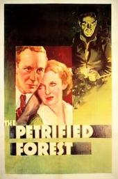 The Petrified Forest