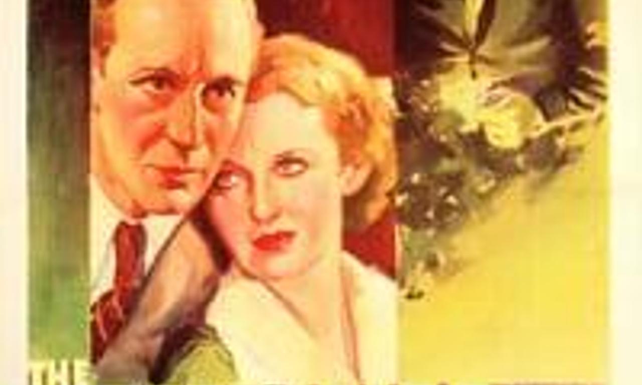 header image for The Petrified Forest