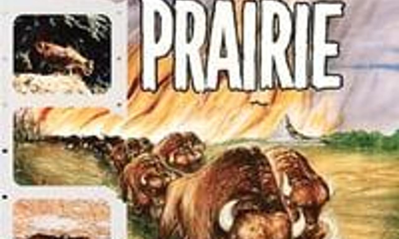 header image for The Vanishing Prairie