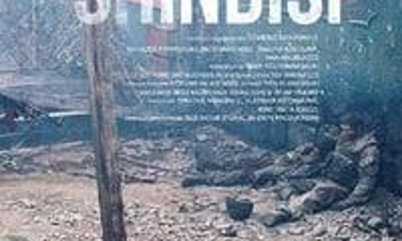 header image for Shindisi