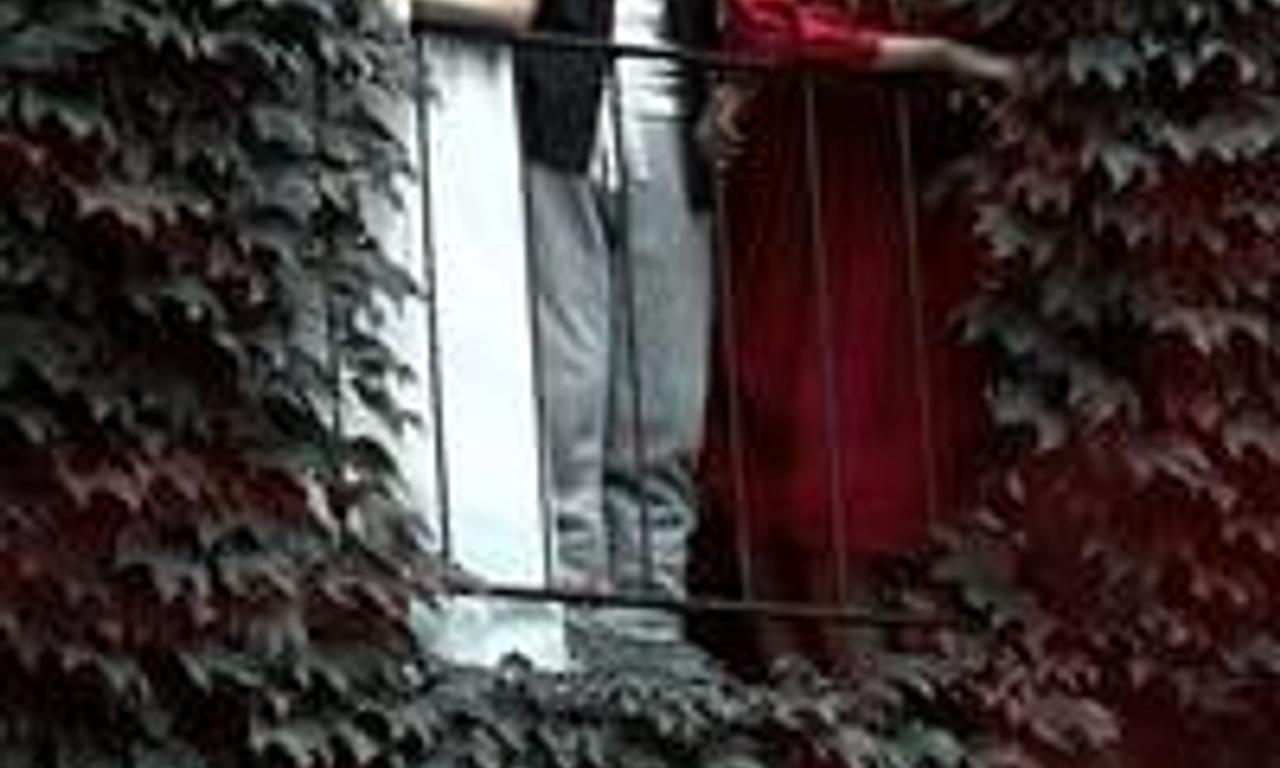 header image for Welcome the Stranger