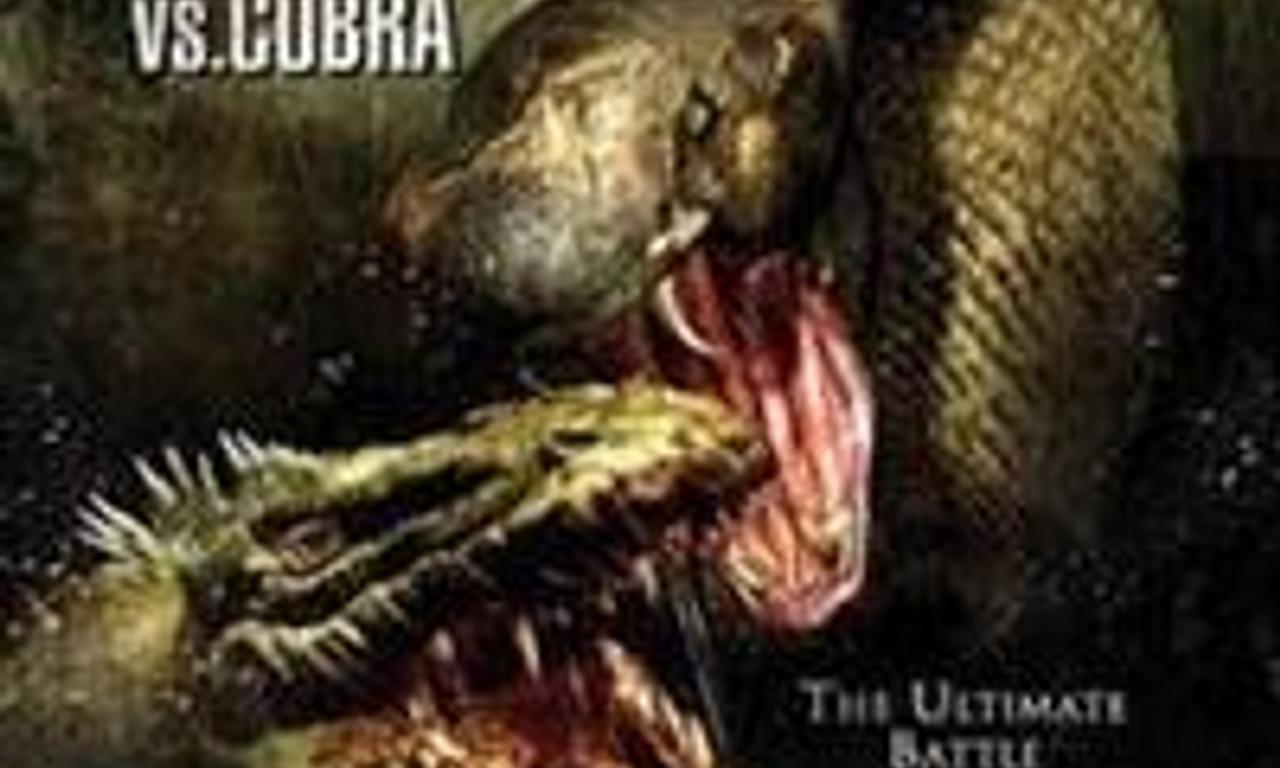 header image for Komodo vs. Cobra