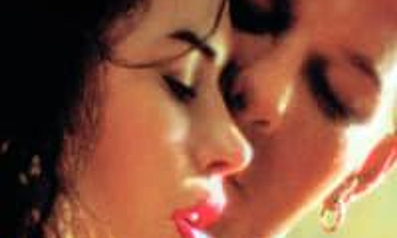 header image for Wild Orchid