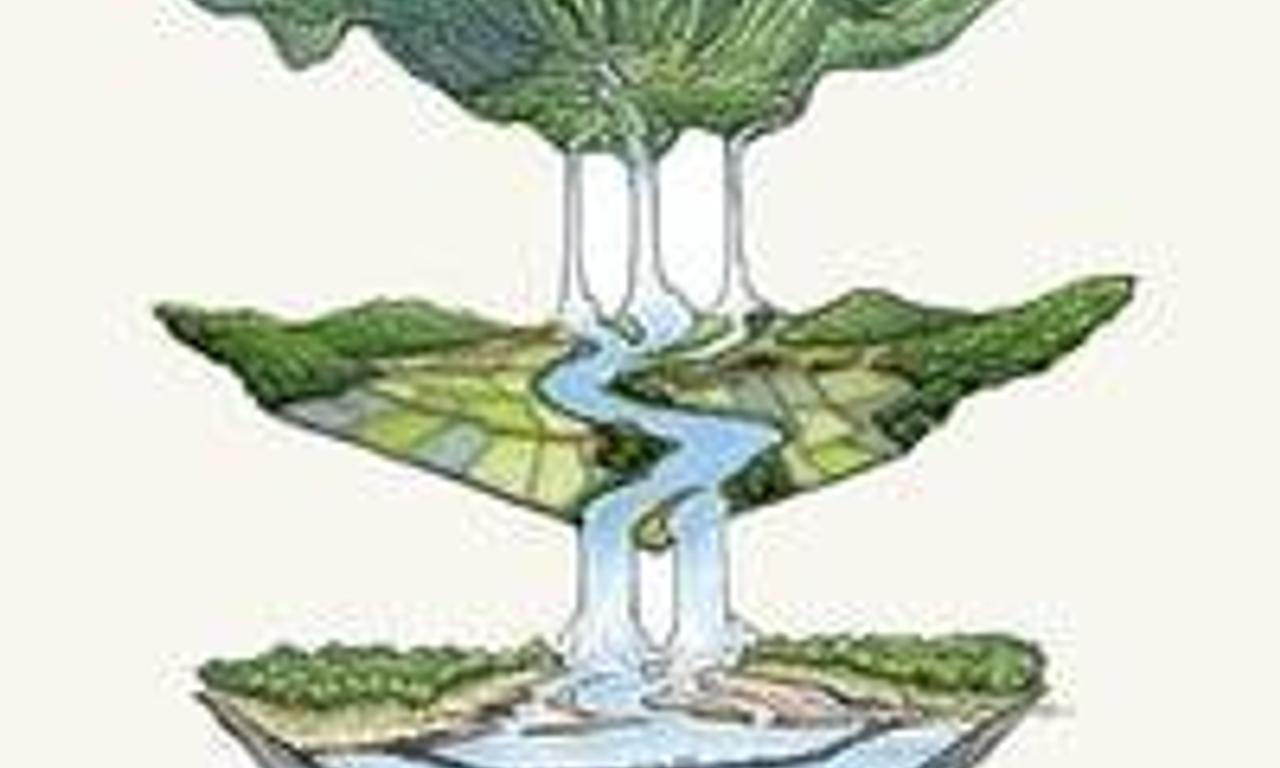 header image for Island Earth