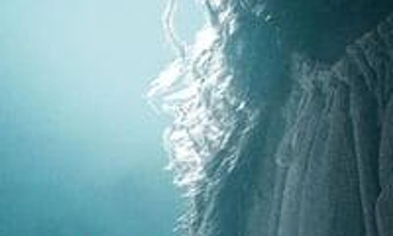 header image for Blood of My Blood