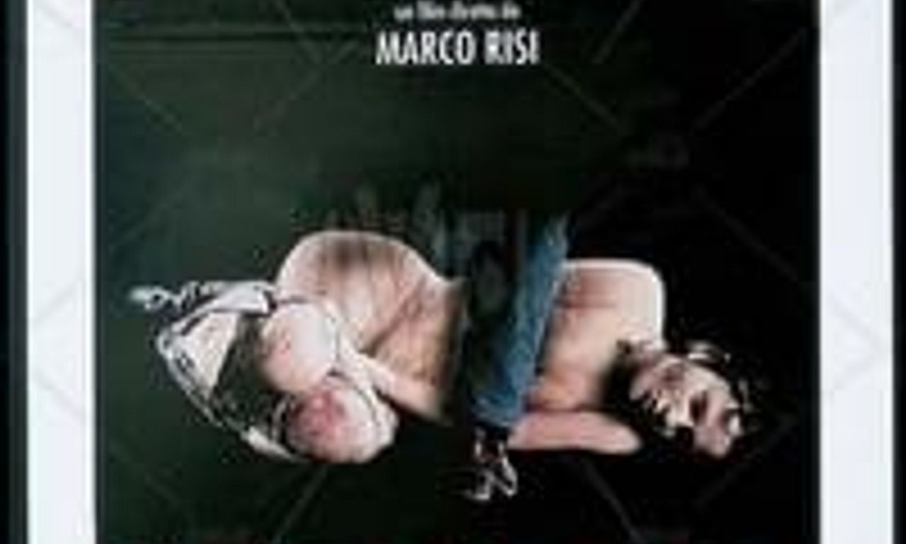 header image for Il Branco