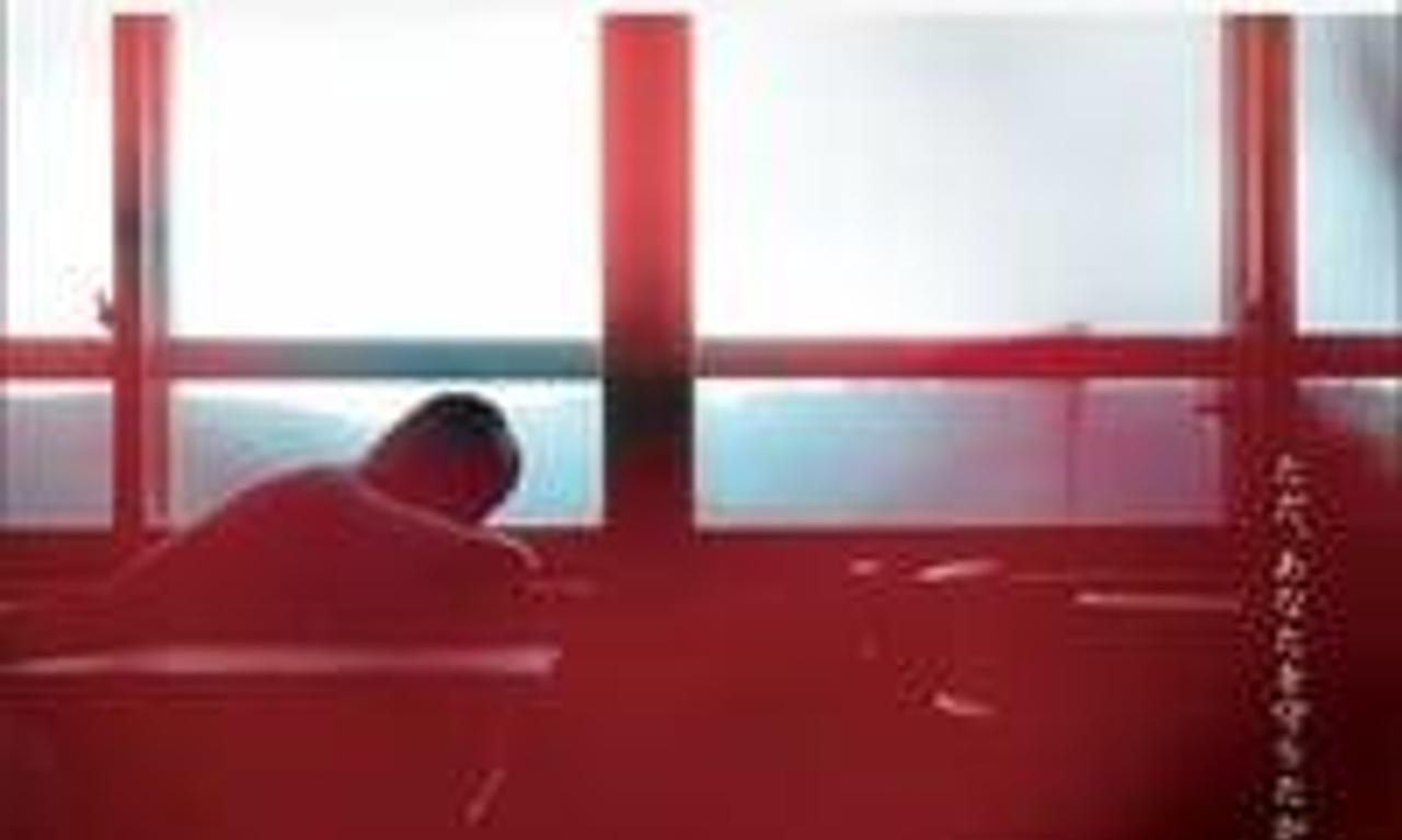 header image for Kalanchoe