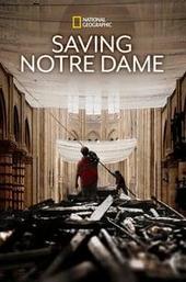 Saving Notre-Dame