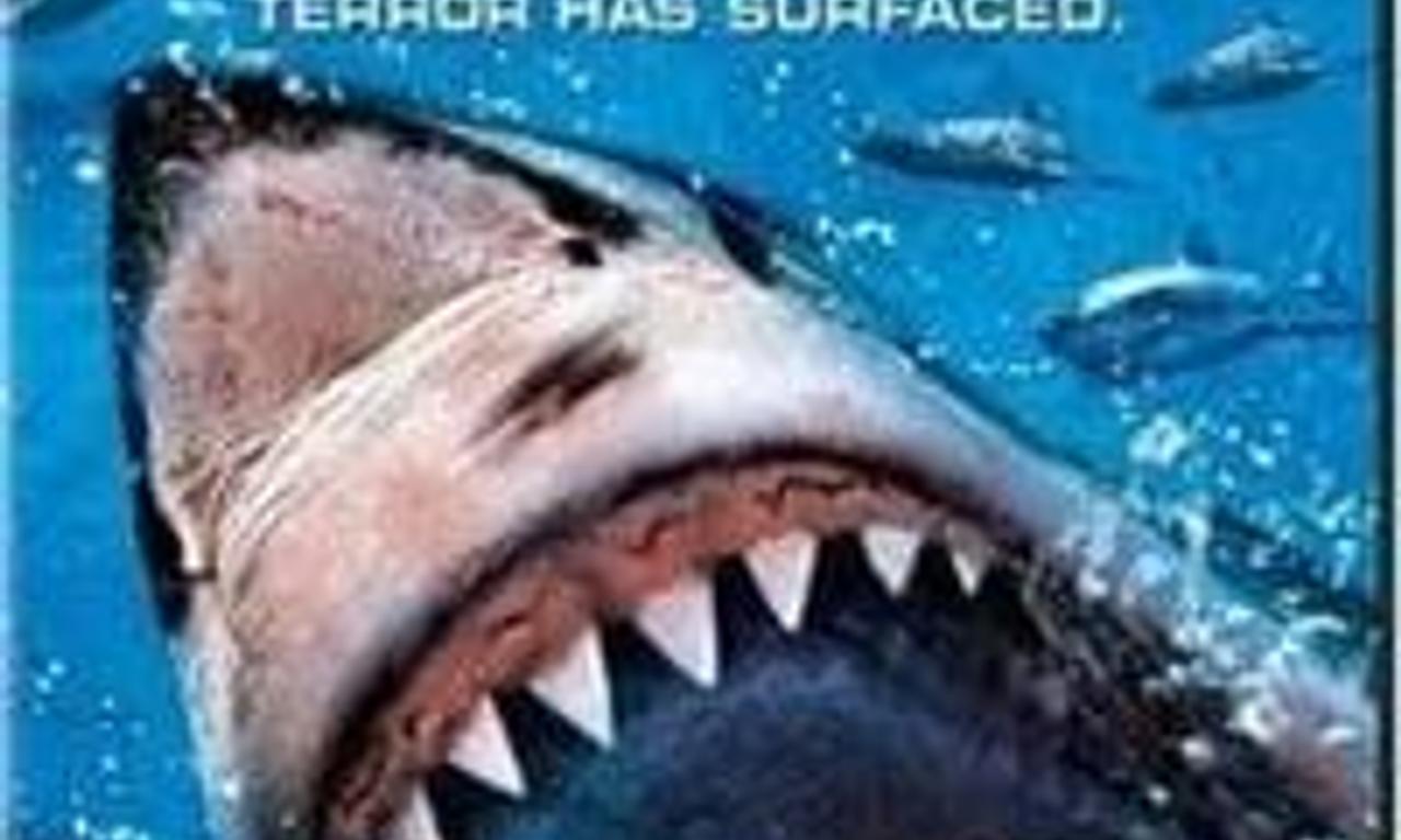 header image for Shark Zone