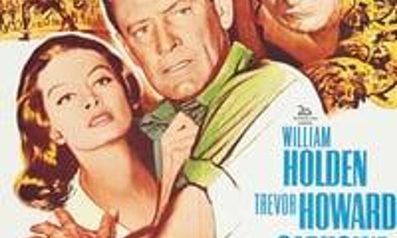 header image for The Lion