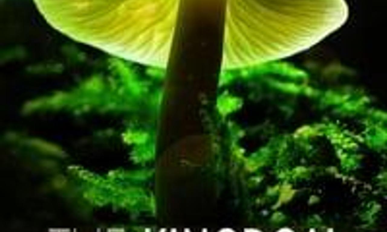 header image for The Kingdom: How Fungi Made Our World