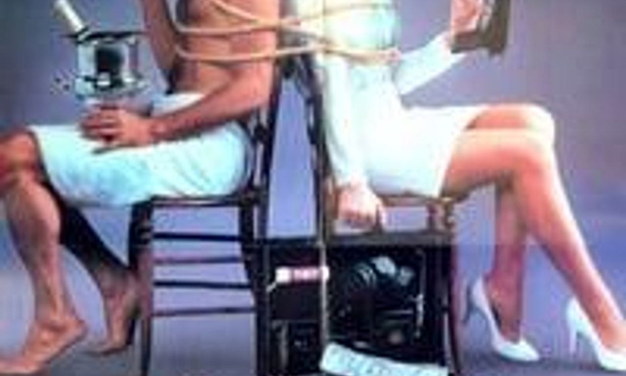 header image for Honeymoon Academy