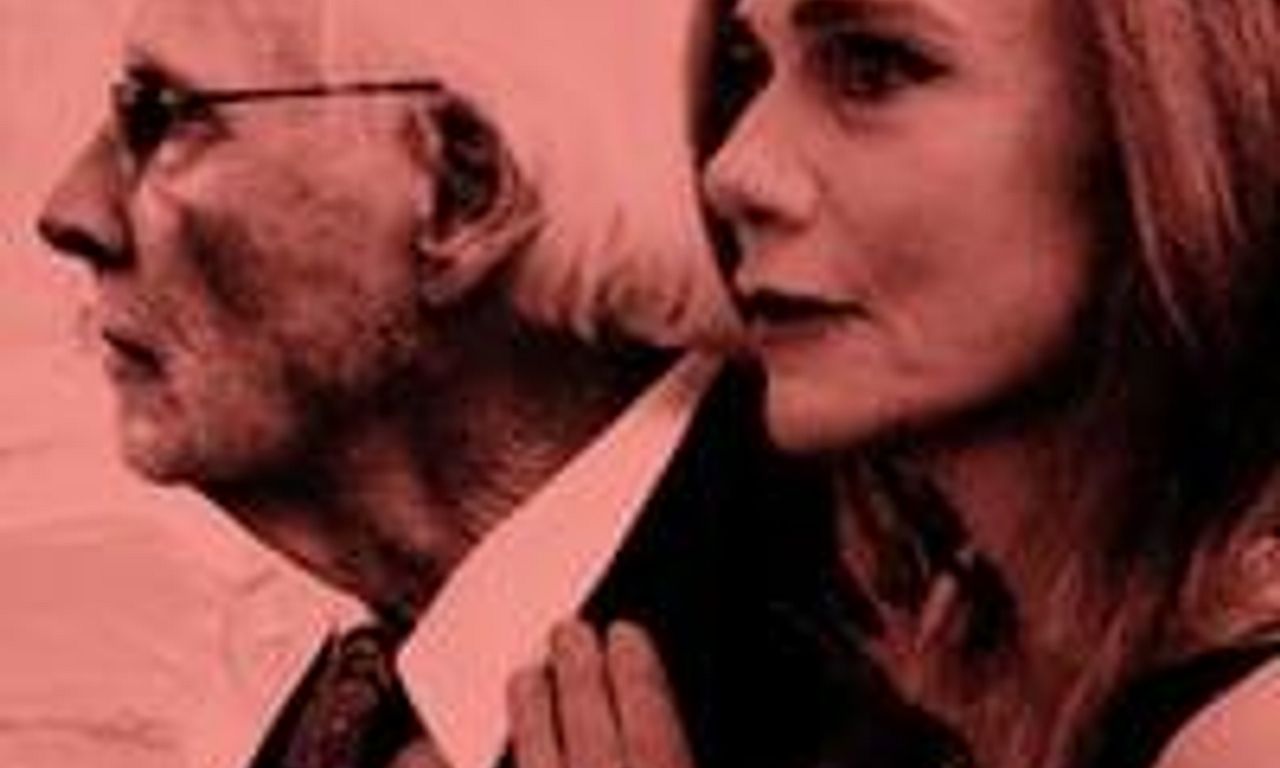 header image for The Artist's Wife