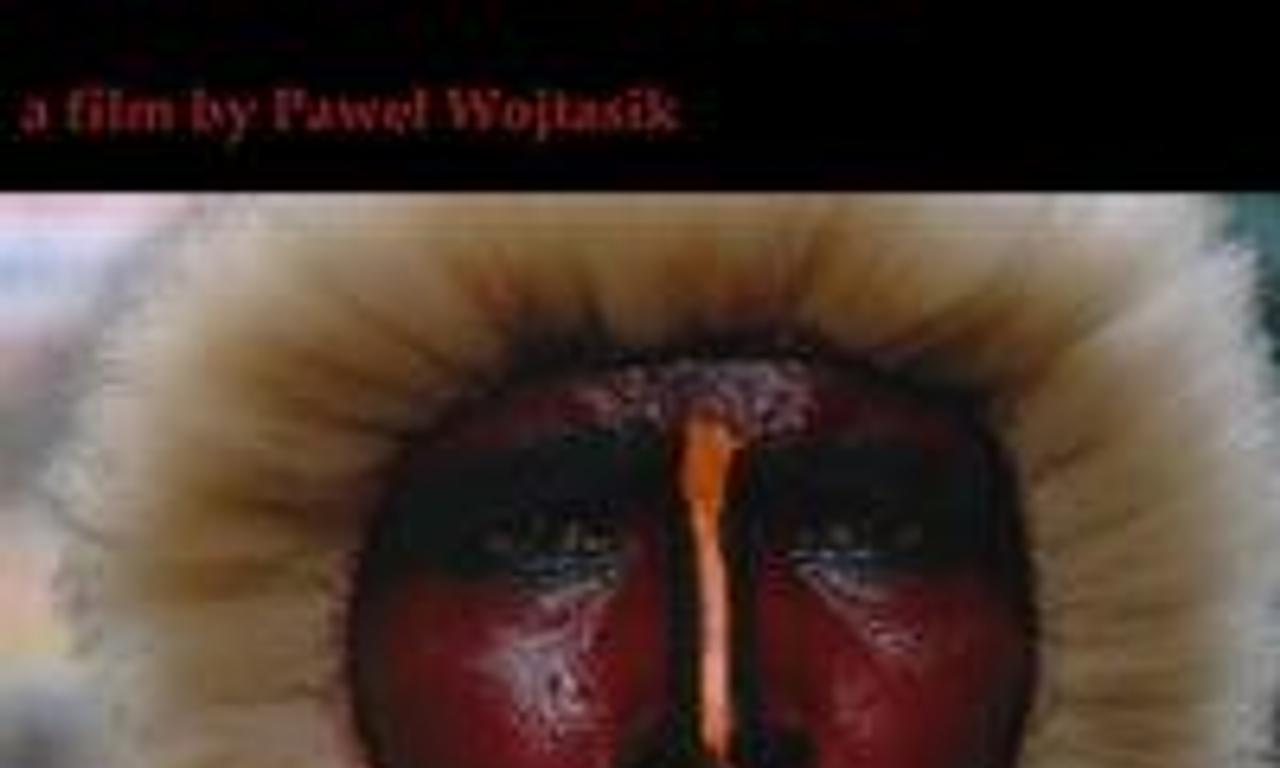 header image for Every Pulse of the Heart Is Work