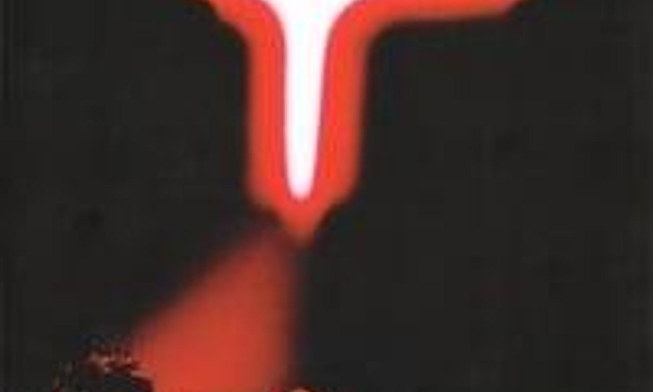 header image for Indochine - Paradize Show