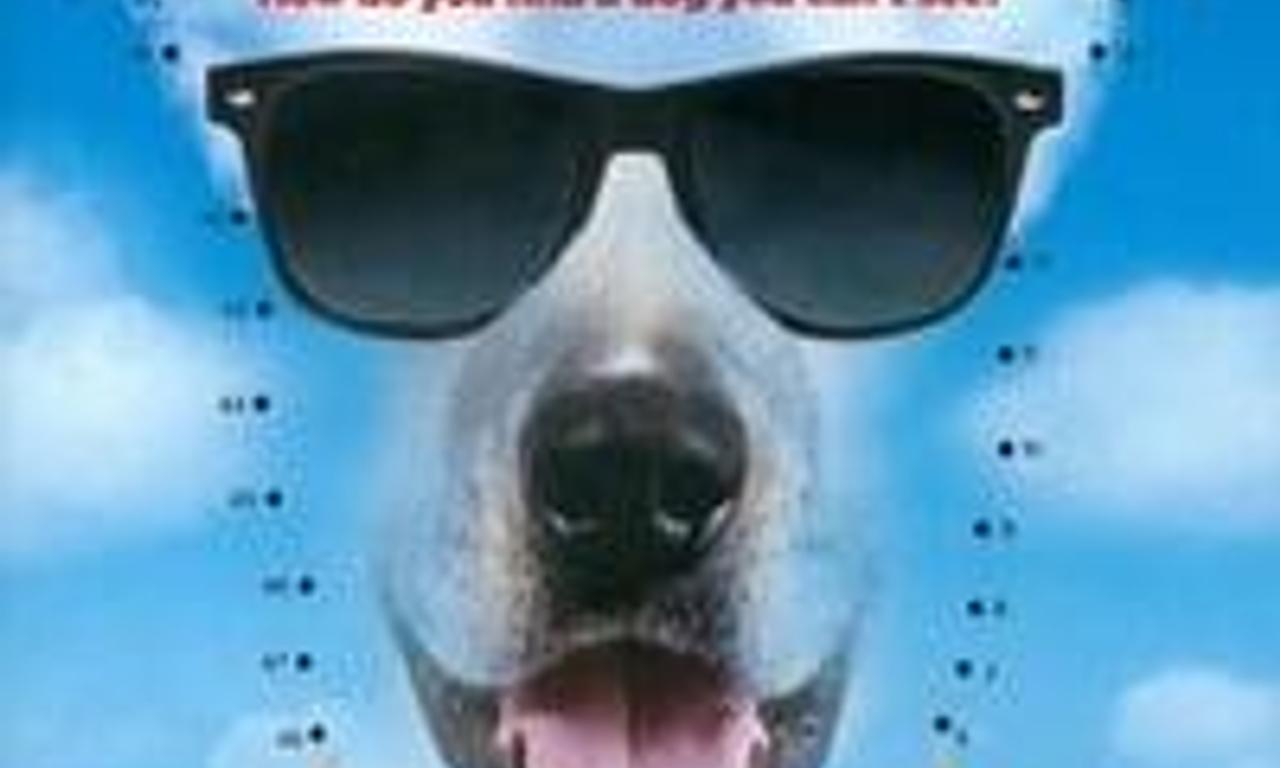 Dude Where's My Dog? - Where to Watch and Stream Online – Entertainment.ie