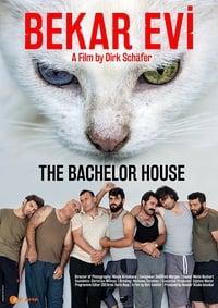 The bachelor discount movie watch online