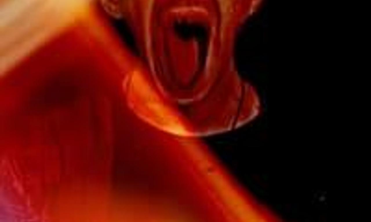 header image for How NOT to Make a Horror Film