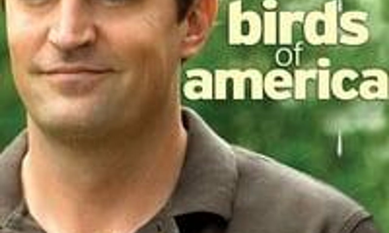 header image for Birds of America
