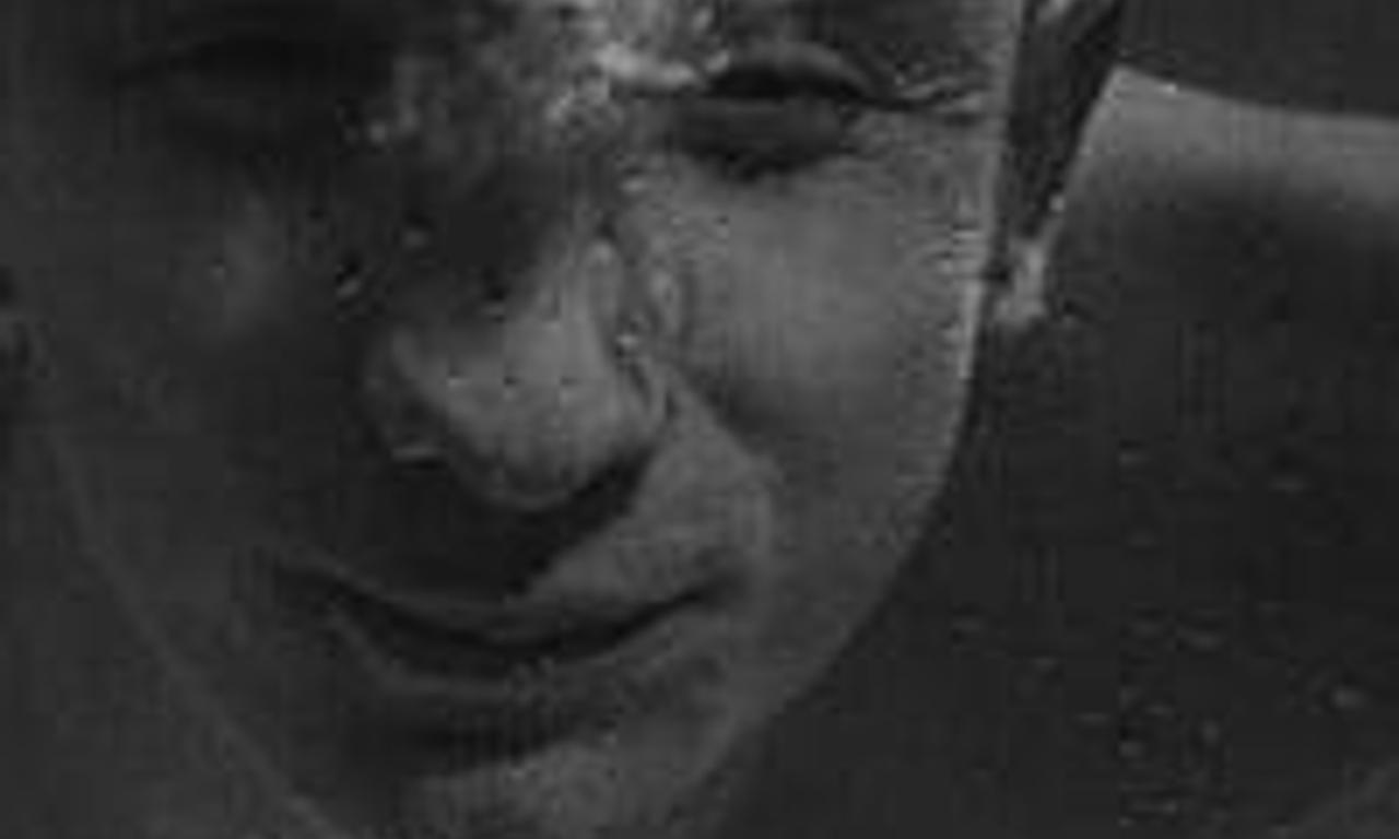 header image for Taris