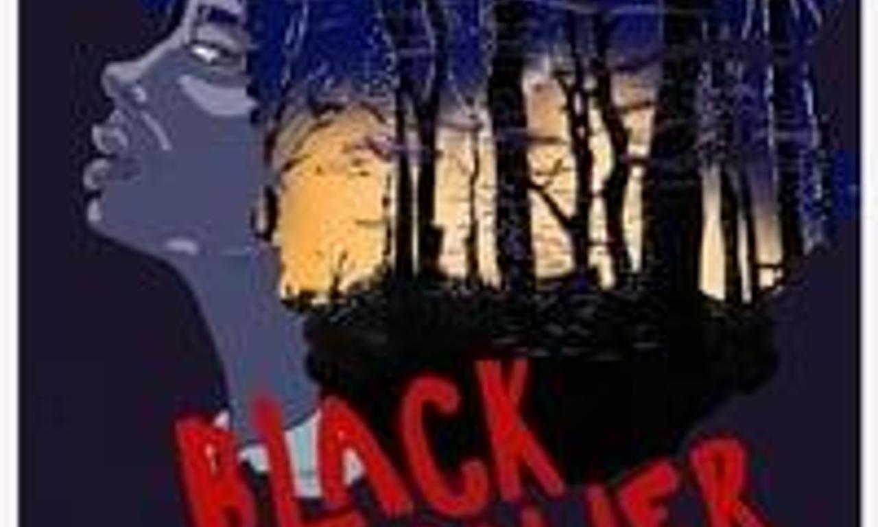 header image for Black Holler