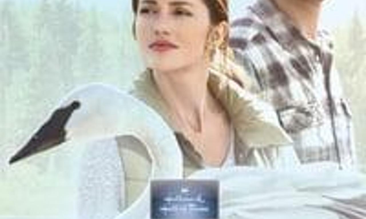 header image for Away and Back