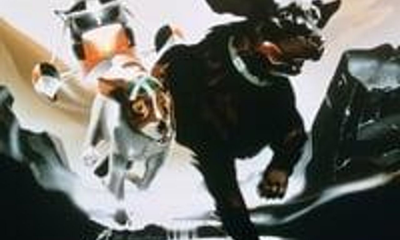 header image for The Plague Dogs