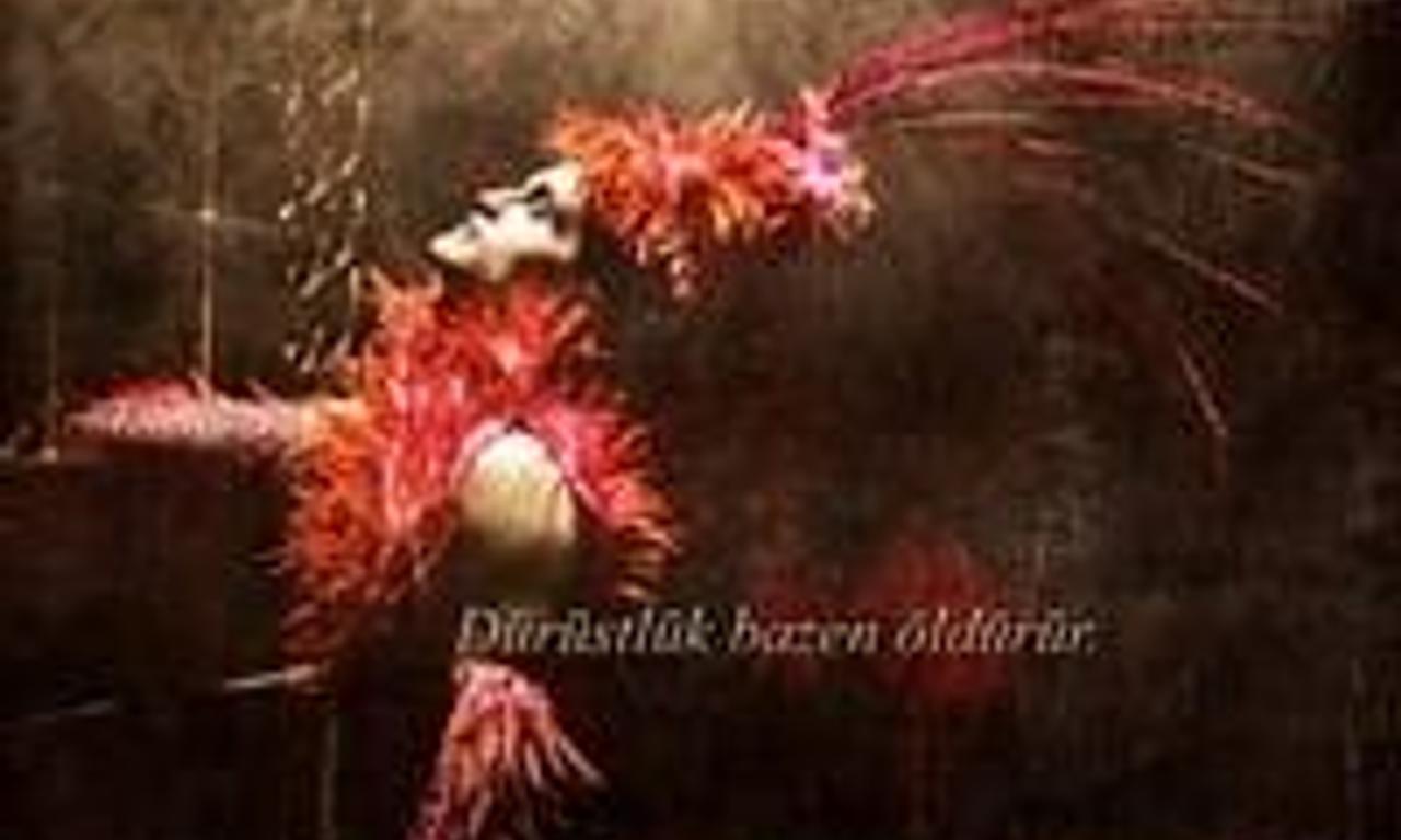 header image for Zenne Dancer