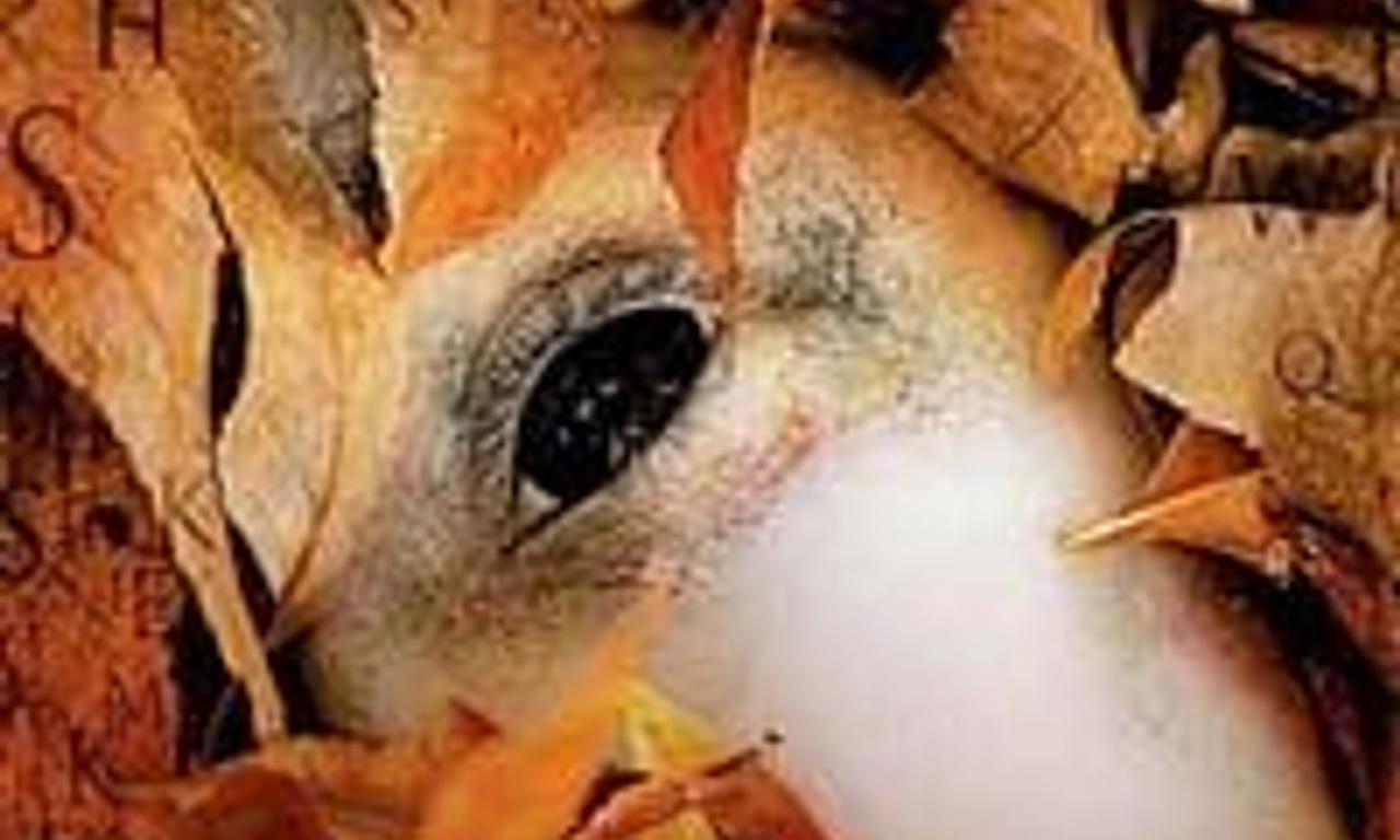 header image for The Alphabet Killer