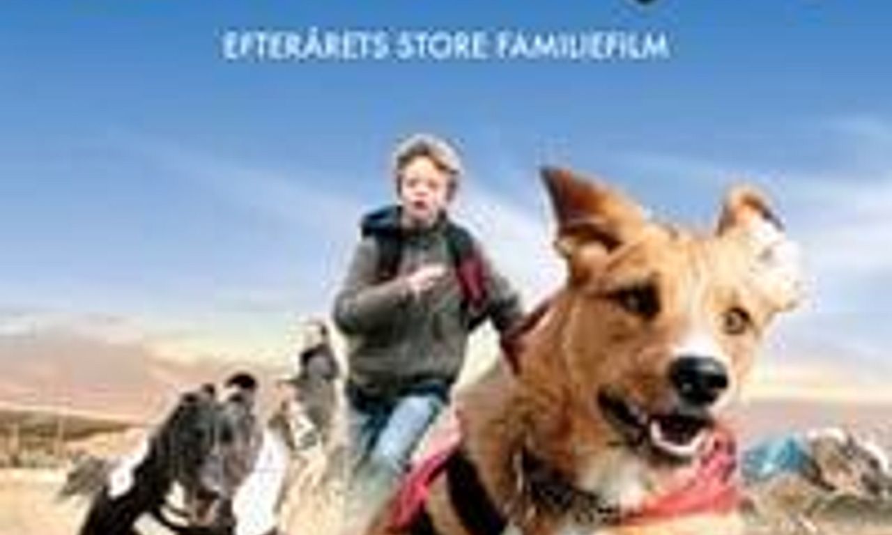 header image for Storm