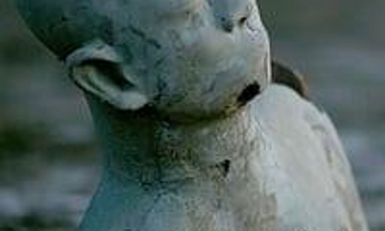 header image for Grit